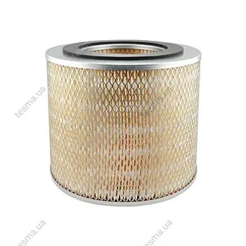 Air Element BALDWIN FILTERS PA1620 (фото 1)