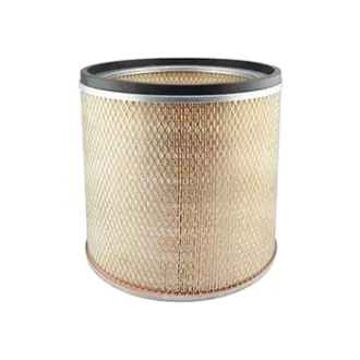 Air Element BALDWIN FILTERS PA1625