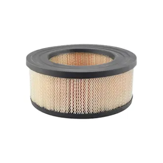 Air Element BALDWIN FILTERS PA1648