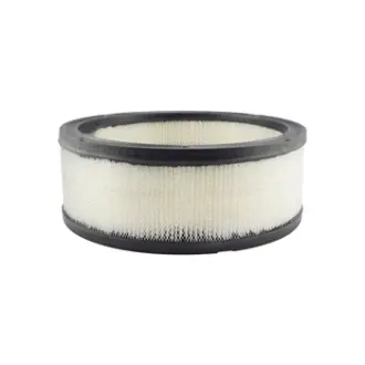Air Element BALDWIN FILTERS PA1680