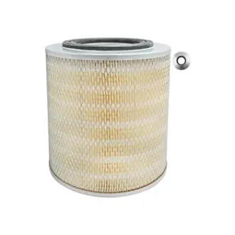 air element BALDWIN FILTERS PA1789