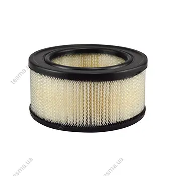 Air Element BALDWIN FILTERS PA1805 (фото 1)