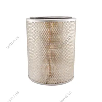 Air Element BALDWIN FILTERS PA1810 (фото 1)