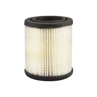 Air Element BALDWIN FILTERS PA1859