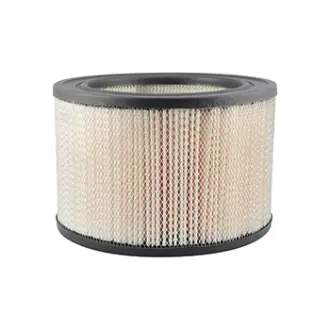 Cab Air Element BALDWIN FILTERS PA1891