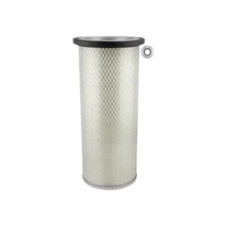 Air filter, by-pass. Фильтр воздушный, запасный BALDWIN FILTERS PA1893
