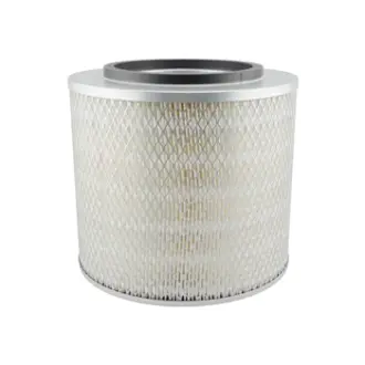 Air Element BALDWIN FILTERS PA1922