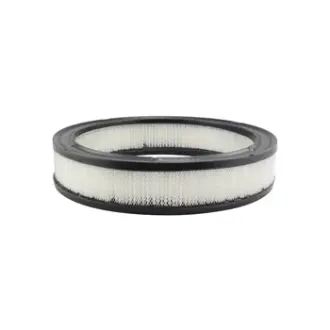 Air Element BALDWIN FILTERS PA2005