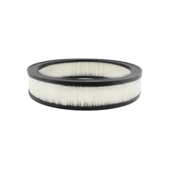 Air Element BALDWIN FILTERS PA2006