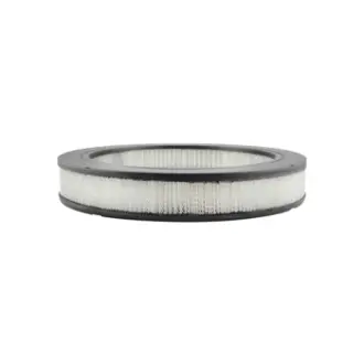 Air Element BALDWIN FILTERS PA2065