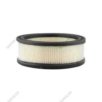Air filter. Фильтр воздушный BALDWIN FILTERS PA2069 (фото 1)