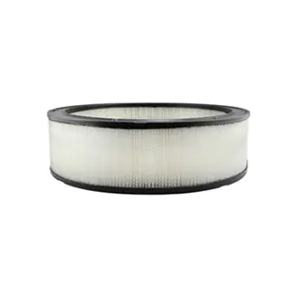 Air Element BALDWIN FILTERS PA2079