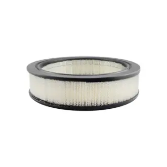 Air Element BALDWIN FILTERS PA2117