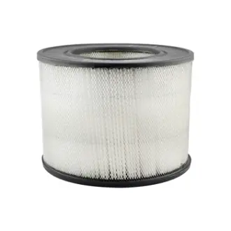 Air Element BALDWIN FILTERS PA2156