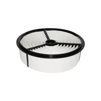 Air Element BALDWIN FILTERS PA2171