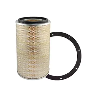 Air Element BALDWIN FILTERS PA2425