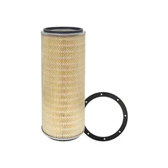 Air Element BALDWIN FILTERS PA2482