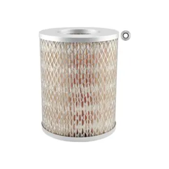 Air Element BALDWIN FILTERS PA2536