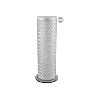 Air filter, by-pass. Фильтр воздушный, запасный BALDWIN FILTERS PA2570