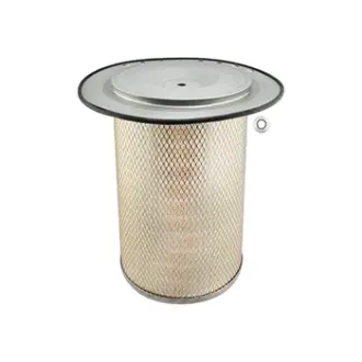 Air Element with Lid BALDWIN FILTERS PA2600