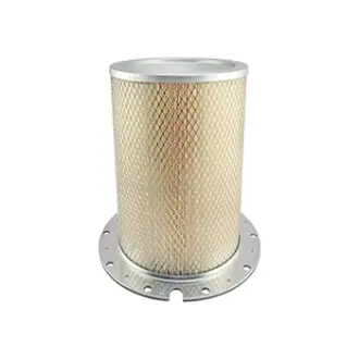 Air filter, by-pass. Фильтр воздушный, запасный BALDWIN FILTERS PA2647