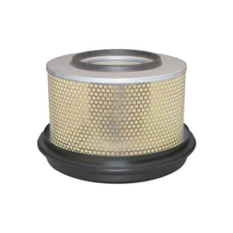 Air Element with Lid BALDWIN FILTERS PA2838