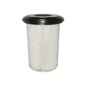 Air Element with Lid BALDWIN FILTERS PA2847