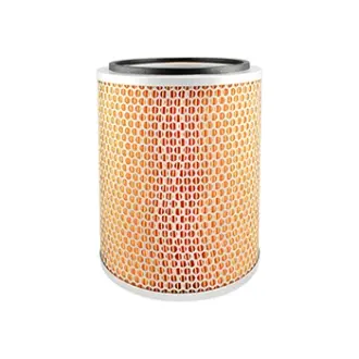 Air Element BALDWIN FILTERS PA2869