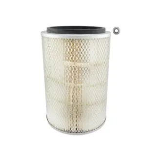 Air Element BALDWIN FILTERS PA2880
