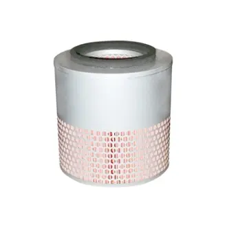 Air Element BALDWIN FILTERS PA2884