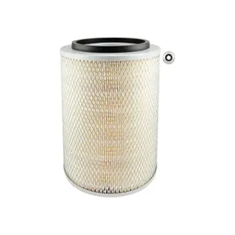 Air Element BALDWIN FILTERS PA2891