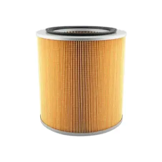 Air Element BALDWIN FILTERS PA2895