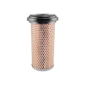 Air Element with Lid BALDWIN FILTERS PA2905