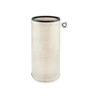 Air Element BALDWIN FILTERS PA3689