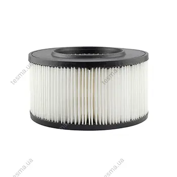 Air Element BALDWIN FILTERS PA3773 (фото 1)