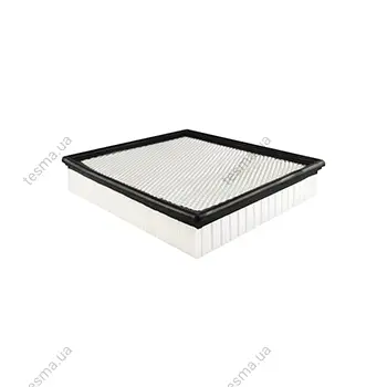 Cab Air Element BALDWIN FILTERS PA3823 (фото 1)
