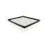 Cab Air Element BALDWIN FILTERS PA3823 (фото 1)