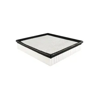 Cab Air Element BALDWIN FILTERS PA3823