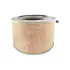 Air Element BALDWIN FILTERS PA3838 (фото 1)