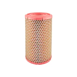 Air Element BALDWIN FILTERS PA3856