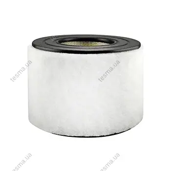 Air Element with Foam Wrap BALDWIN FILTERS PA3890 (фото 1)