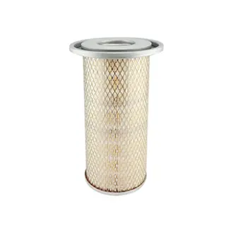 Air Element with Lid BALDWIN FILTERS PA3979