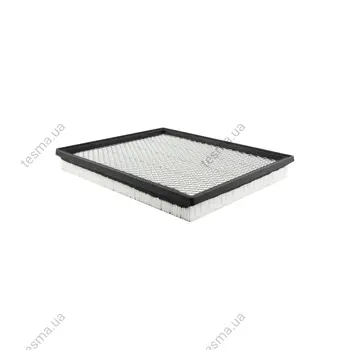 Panel Air Element BALDWIN FILTERS PA4046 (фото 1)