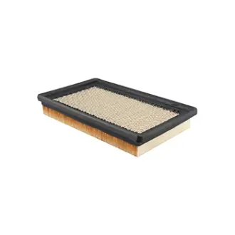 Panel Air Element BALDWIN FILTERS PA4079