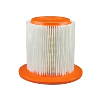 Air Element BALDWIN FILTERS PA4089