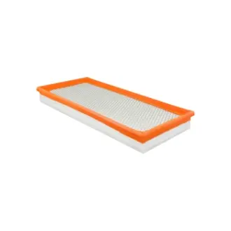 Panel Air Element with Foam Pad BALDWIN FILTERS PA4092