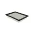 Panel Air Element BALDWIN FILTERS PA4100 (фото 1)