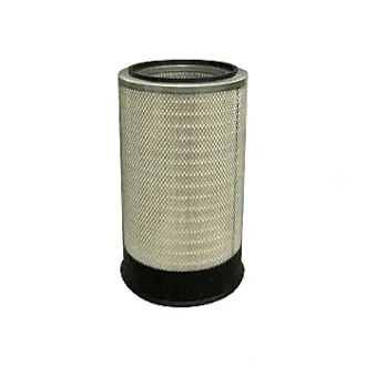 Air Element BALDWIN FILTERS PA4566