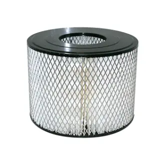 Air Element BALDWIN FILTERS PA4647