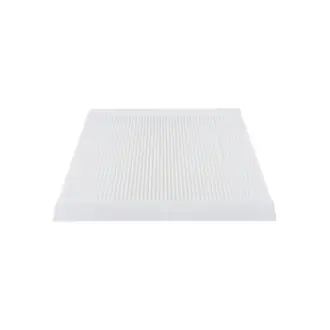 Cab Air Element BALDWIN FILTERS PA4681